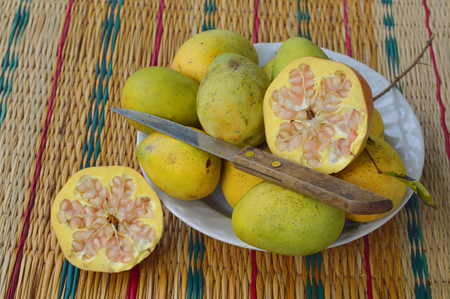 ripe local Thai mangoes and pomegranate in utensil plate