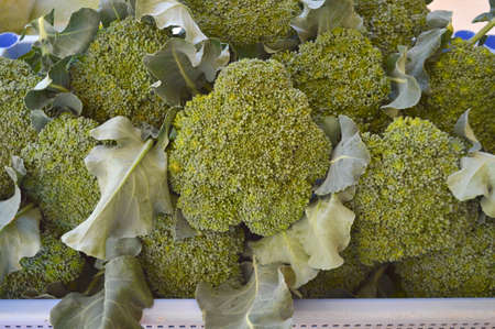 broccoli in marketの写真素材