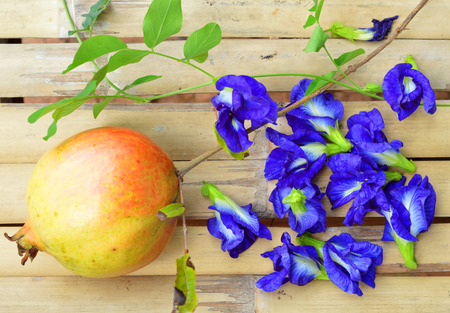 pomegranate and butterfly pea or blue pea flowerの写真素材