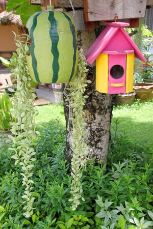 wooden birdhouse hung on tree in gardenの写真素材