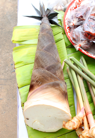 bamboo shoot vegetables at local Thai morning market stallの写真素材