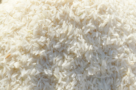 jasmine rice seeds backgroundの写真素材