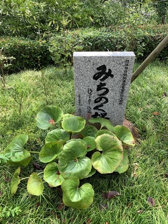 Kyoto, Japan - August 24, 2019 : Religious memorial sign is located at Otawa-san Kiyomizu-dera Temple historic monuments of ancient Kyoto on August 24, 2019 in Kyoto, Japan.のeditorial素材