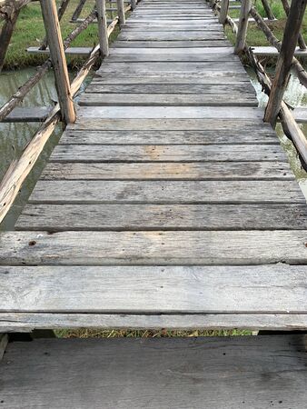 Old wooden bridge in the tropical gardenの写真素材