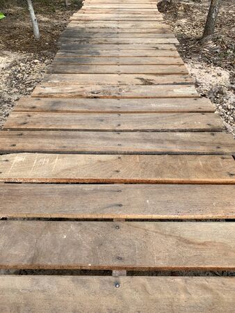New wooden bridge in the tropical gardenの写真素材