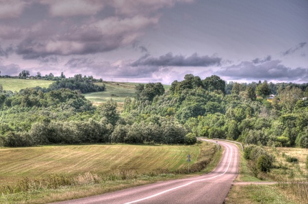 Kind on road going through wood Moscow Regionの写真素材
