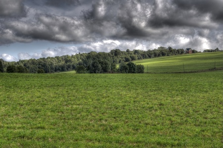 Kind on trees standing in the field Moscow Regionの写真素材