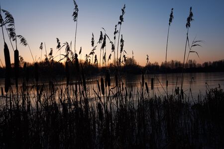 Early morning shadows cold winter morning, winter landscapeの写真素材