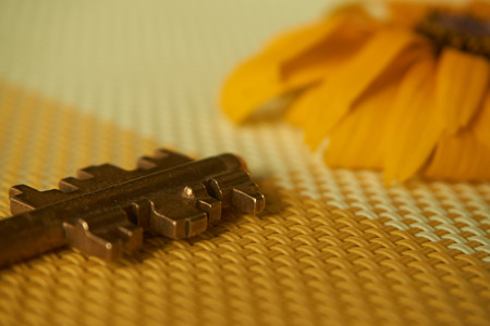 Yellow sunflower and brass key on two toned woven yellow textile placed side by side on different...