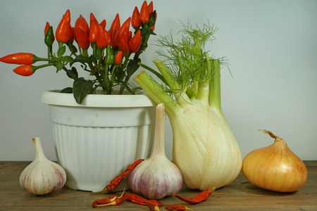 Fresh aromatic vegetables - garlic, onion, fennel and chilli peppers on a rustic wooden table, free copy spaceの写真素材