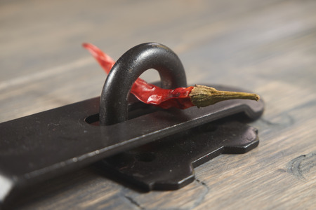 Old metal hasp and staple lock with a red hot chili pepper threaded through it in a conceptual image on a wood backgroundの写真素材