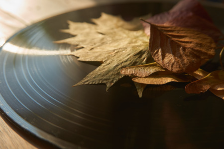 Autumn leaves on a vintage vinyl record low angle view with free copy space in a conceptual image