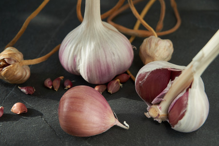 Garlic bulbs cloves and bulbil on dark stone background, growing garlic from cloves or bulbils conceptの写真素材