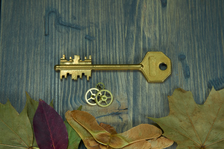 Close-up from above of a vintage golden key next to small cogwheel gears and Autumn leaves on an old wooden table security, locked content concept with copy spaceの写真素材
