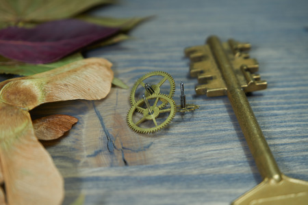 Conceptual close-up of a vintage golden key and small cogwheel gear as symbol for access, property or security. Selective focus and free copy space.の写真素材