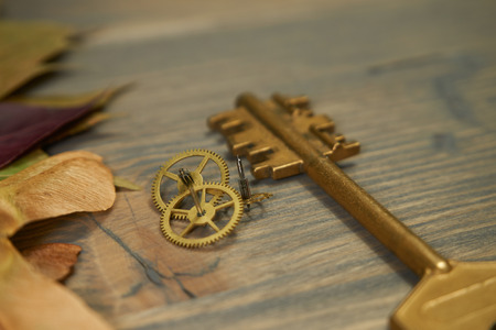 Conceptual close-up of a vintage golden key and small cogwheel gear as symbol for access, property or security. Selective focus and free copy spaceの写真素材