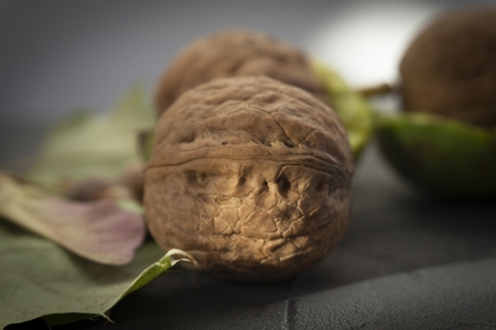 Fresh harvest of walnuts (Juglans regia) in a green shell. Shell and peel of walnuts, autumn leaves and an oak acorns. When are walnuts ready to pick conceptの写真素材