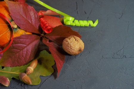 Autumn still life with colorful leaves, pumpkin acorn and walnuts in a closeup full frame view and copy spaceの写真素材