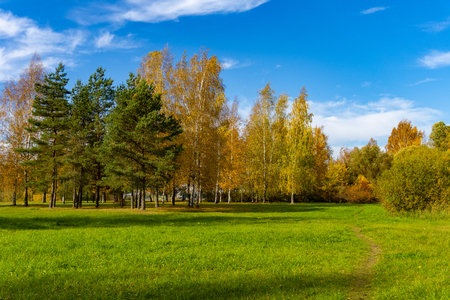 Fresh green field with autumn trees in colorful fall foliage against a sunny blue sky in a scenic landscapeの写真素材