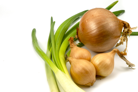 Close up of assorted fresh onions with spring onions isolated on whiteの写真素材