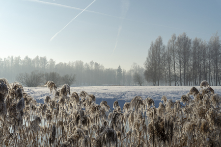 Cold frosty winter day over a tranquil lake with reflections and morning mist in a weather and seasons conceptの写真素材