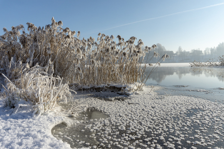 Cold frosty winter day over a tranquil lake with reflections and morning mist in a weather and seasons conceptの写真素材
