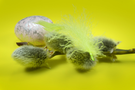 Pussy willow buds, egg and feather in close-up as a set of decoration on spring theme in Christianityの写真素材