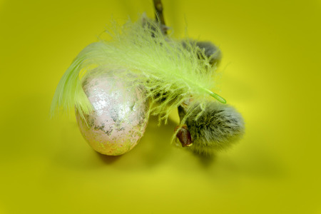 Pussy willow buds, egg and feather in close-up as a set of decoration on spring theme in Christianityの写真素材