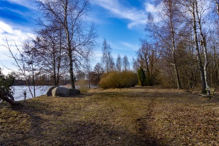 Footpath beside a lake through bare branched winter trees with empty benches overlooking the water under a sunny blue skyの写真素材