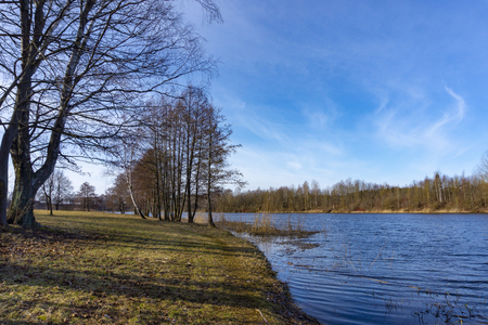 Footpath beside a lake through bare branched winter trees overlooking the water under a sunny blue skyの写真素材