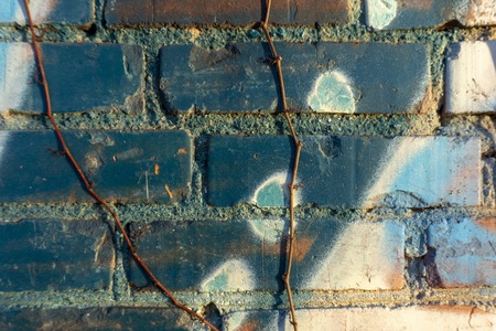 Old red brick wall with blue graffiti fragments, viewed in close-upの写真素材