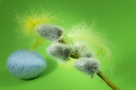 Pussy willow buds, egg and feather in close-up as a set of decoration on spring theme in Christianityの写真素材