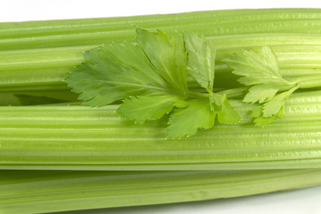 Celery leaves and stem in close up isolated on white background. Healthy eating, vegetarian food, diet, dieting concept.の写真素材