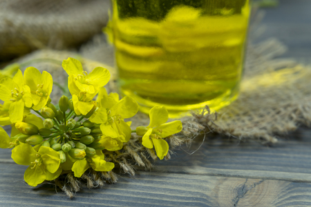 Yellow canola or rapeseed flowers with a small glass decanter of oil on a rustic table with hessian sackの写真素材