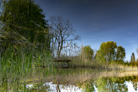 Tranquil spring lake with reflections of surrounding green trees and the sunny blue sky in a picturesque rural landscapeの写真素材