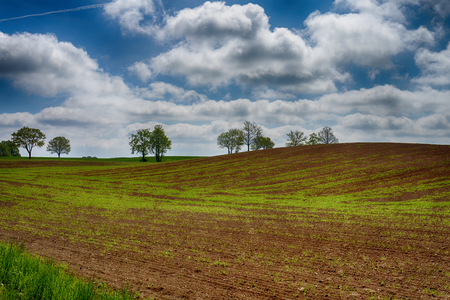 Agricultural landscape with a lone trees in the red earth of a ploughed field in spring under a hazy blue sunny skyの写真素材
