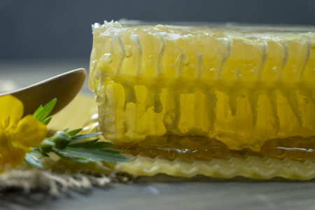 Fresh block of honey comb with honey oozing onto the mat below with a wooden spoon and colorful yellow evening primrose flower, copy space on grey backgroundの写真素材