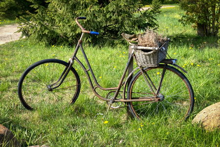 Rusty old bicycle in a country meadow or farm field with lush green spring grassの写真素材
