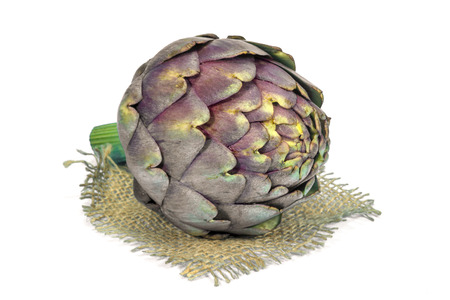 Purple fresh artichoke isolated on a white background. Asteraceae or Compositae family of flowering plantの写真素材