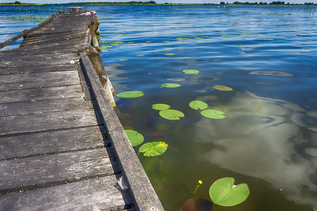 Old rickety wooden jetty leading into a calm lake reflecting the sunny blue sky with green shoreline and trees in the distanceの写真素材