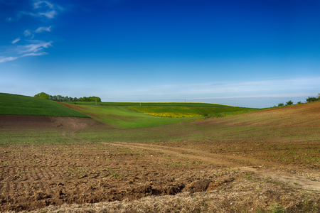 Agricultural landscape with rolling hills, ploughed farm field, meadow and a trees in a fieldの写真素材
