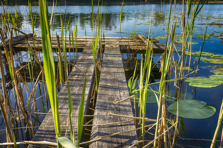 Old rustic wooden jetty on a tranquil lake with reeds and wild grasses on the bank and reflections on the waterの写真素材
