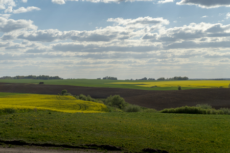 Rolling hills, ploughed farm field and meadow in a spring landscape under a cloudy blue skyの写真素材