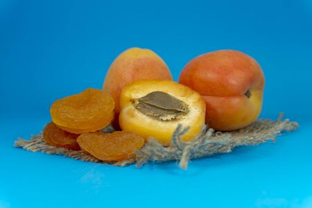 Dried apricots and fresh whole and sliced halved apricots on a square of rustic hessian cloth in a close up viewの写真素材