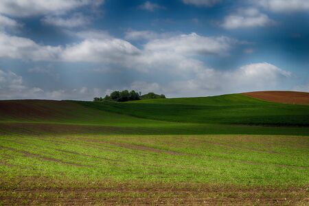 Agricultural landscape with rolling hills, ploughed farm field, meadow and a trees in a fieldの写真素材