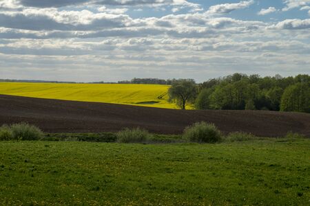 Agricultural landscape with rolling hills, ploughed farm field, meadow and a trees in a fieldの写真素材