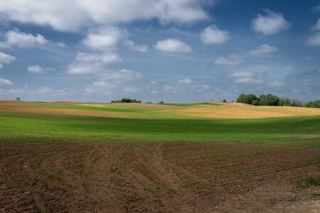 Rolling hills, ploughed farm field and dandelions in a meadow in a spring landscape under a clear sunny blue skyの写真素材