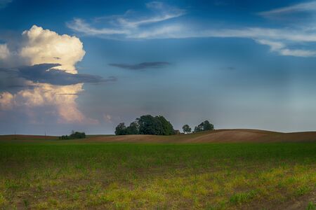 Green pasture with rolling hills at sunset with colorful pink clouds in a blue sky and a copse of woodland trees on the horizonの写真素材