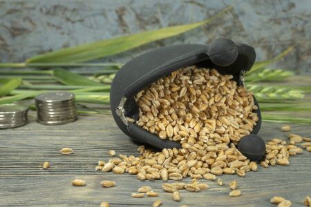 Wheat seeds spilling from a small frame purse with fresh ears of green wheat and staple of coins on a rustic wood background in an agricultural crop and grains prices concept with copy spaceの写真素材