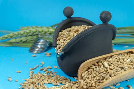 Wheat seeds spilling from a small frame purse and wooden scoop, staple of coins with fresh ears of green wheat on a blue background in an agricultural crop and grains prices concept with copy spaceの写真素材